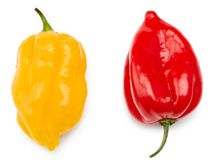 yellow and red habanero chili hot peppers isolated on white background. clipping path