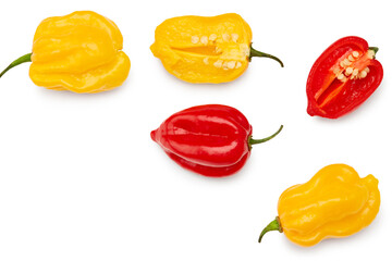 Wall Mural - yellow and red habanero chili hot peppers isolated on white background. clipping path