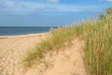 Fototapeta Morze - A panoramic view on the sandy beach by Baltic Sea on Sobieszewo island, Poland. The beach is scarcely overgrown with high grass. The sea is gently waving. A bit of overcast. Serenity and calmness
