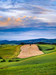 Sticker - Lajatico, Toscana