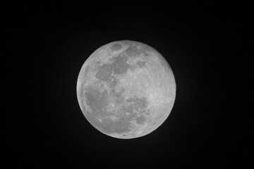 Wall Mural - Full moon on the dark night