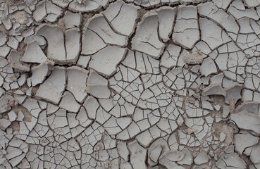 Canvas Print - Top view of cracks on a field during a drought season