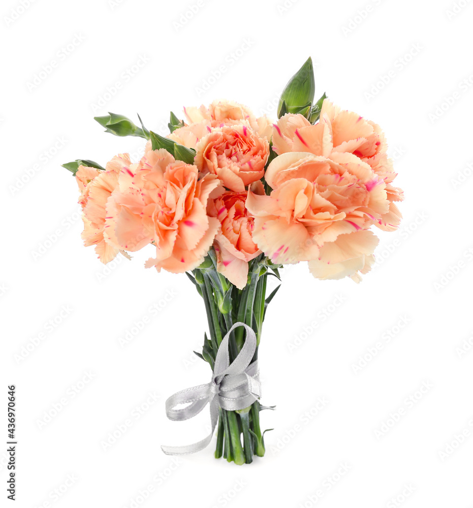Beautiful carnation flowers on white background