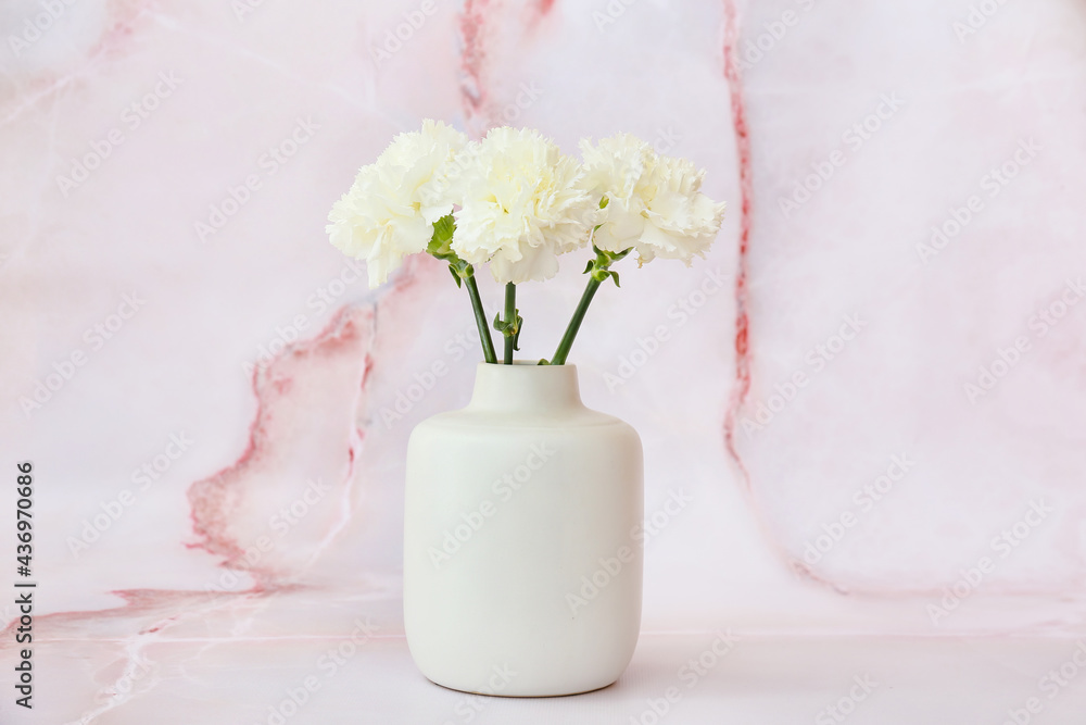 Vase with beautiful carnation flowers on light background