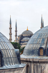 Wall Mural - Roofs and minarets in Istanbul, Turkey