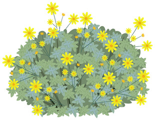 Sticker - Brittlebush in cartoon style isolated on white background