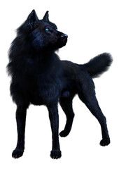 3D Rendering Black Wolf on White