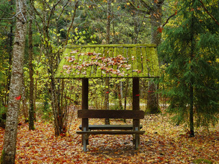Wall Mural - Old wooden sitting bench with roof in a forest. Autumn fall season. Nobody. Nature background. Fallen brown and yellow leaf on the ground