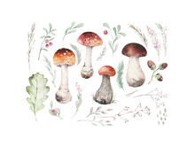 Watercolor Illustration With Mashrooms, Branches, Leaves And Berries. Set Of Autumn Forest Plants, Fly Agaric And Boletus, Drawing, Collection Of Herbarium Garden.
