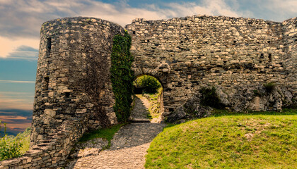 Wall Mural - Ruins of Hinterhaus castle. Spitz, Wachau valley. Austria.