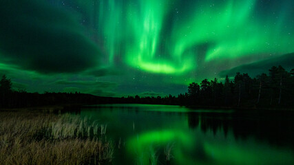 northern lights, torneträsk, abisko, sweden