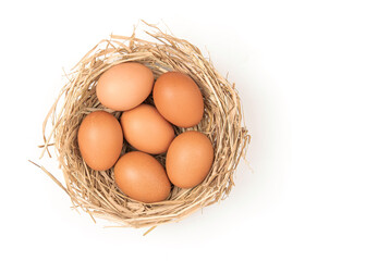 Top view brown eggs in a nest isolated on a white background. 