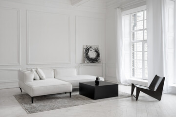 white minimalistic living room with leather sofa