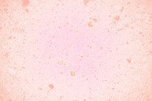 Porous Pink Stone Texture. Pastel Colored Pumice Tuff Background