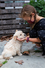 Wall Mural - Little Girl Playing with Golden Retriever Puppy