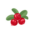 Cranberry vector cartoon illustration. Red berry flat icon.