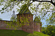 Veliky Novgorod, Russia. View of the Novgorod Kremlin through the branches of trees with green leaves glowing in the sun. Fedorovskaya and Metropolichya towers as well as the chapel 