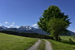 Allgäu bei Eisenberg mit Wiesen, Bäumen, Bergen, Sonnenstern und blauem Himmel im Sommer