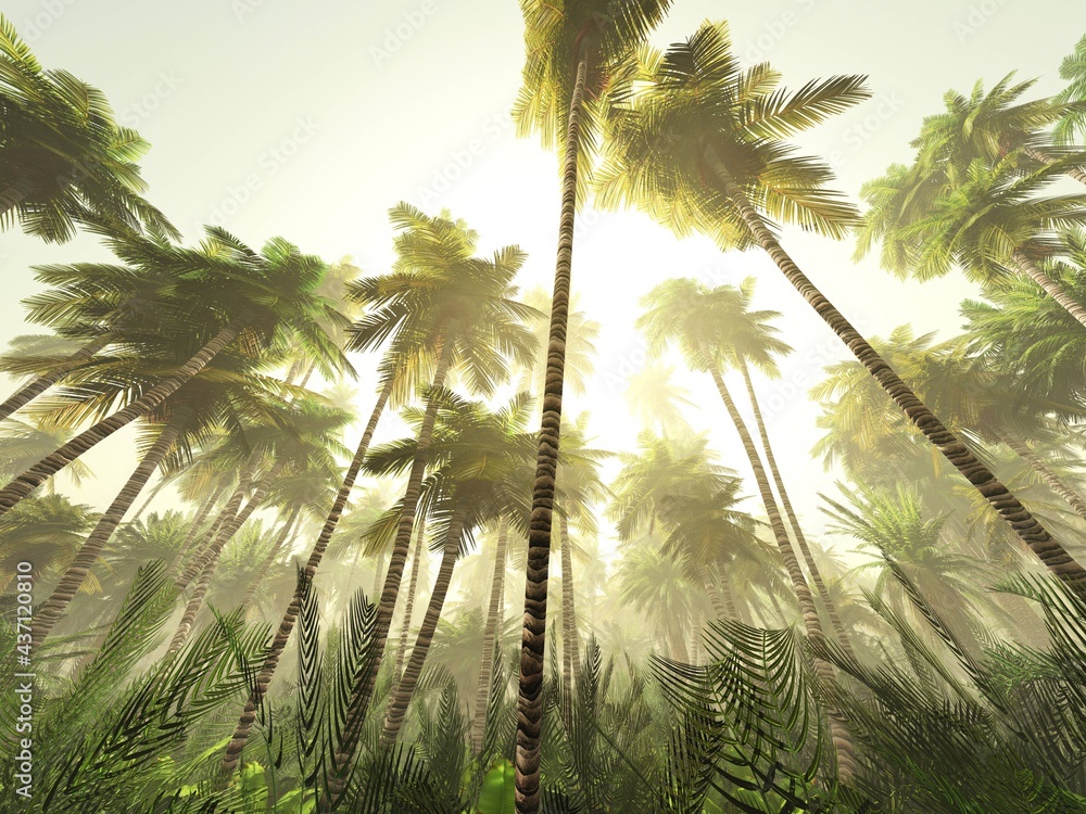 Jungle in the morning in the sun, palm trees in the fog, tropical forest in the haze, 3D rendering - obrazy, fototapety, plakaty 