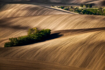 Wall Mural - Moravian fields, Moravia, Czech Republic, around the village Kyjov