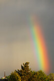 Fototapeta Lawenda - View on a rainbow against a grey sky