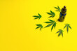 CBD Cannabidiol bottle and Cannabis leafs on yellow background, alternative medicine concept