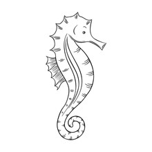 Vector Illustration Of A Seahorse Isolated On A White Background. Coloring Pages. Coloring Book For Adults And Children. Antistress Freehand Sketch Drawing With Doodle And Zentangle Elements.