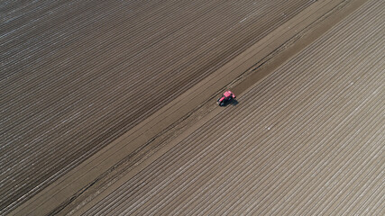 Wall Mural - Farmers drive planters to plant Plastic Mulched peanuts in North China