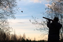 The Silhouette Of A Hunter Who Shoots A Flying Woodcock Against The Background Of The Sunset
