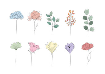 Wall Mural - Collection of linear flowers. Abstract minimalistic design for logo, wedding invitations, postcards, textile. Modern vector illustration.