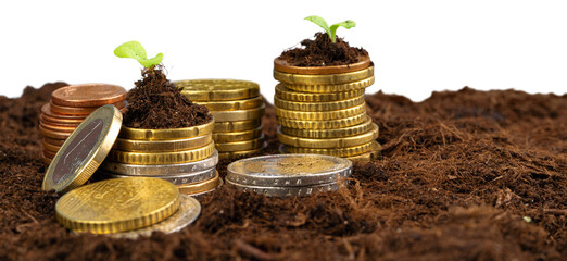 Euro coins and plant sprouts, financial growth concept