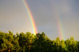 Fototapeta Tęcza - colorful double rainbow over the forest on the background of thunderclouds