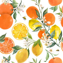 Beautiful Vector Seamless Pattern With Watercolor Hand Drawn Citrus Orange Lemon Grapefruit Fruits. Stock Illustration.