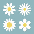 © worldofvector - White daisy chamomile flower round icon set. Camomile petal. Cute plant collection. Love card. Growing concept. Happy Valentines Day decoration. Flat design. Dark blue background. Isolated.