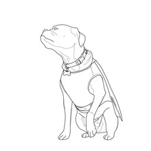 Illustration Of A Dog