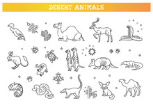 Wildlife Concept With Different Desert Animals