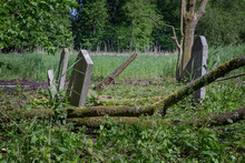 Abandoned Jewish Cemetry With Old Gravestones. Thombstones. Flevopark Amsterdam Netherlands. Ashkenazi Jews. Begraafplaats Zeeburg.