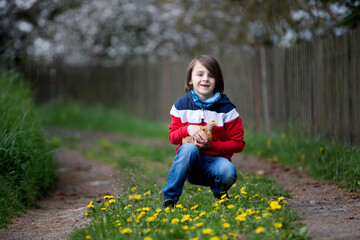 Sweet cute child, preschool boy, playing with little chick in the park