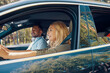 © gstockstudio - Young beautiful couple in casual wear smiling while driving in the car