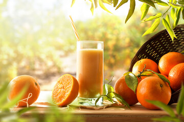 Wall Mural - Orange milkshake and pieces of fruit among orange trees