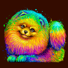 Wall Mural - spitz. sticker design. abstract, multicolored, neon portrait of a cute pomeranian dog on a dark brow
