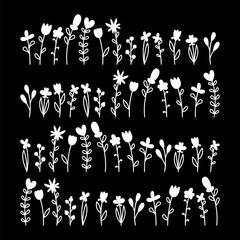 Wall Mural - Big set of flowers. Hand drawn botanical floral elements. Black and white style. Decorative design