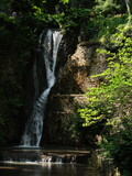 Fototapeta Dmuchawce - naturalny wodospad na skale wśród zieleni - pionowo