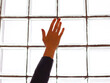 Girl's hand in the window