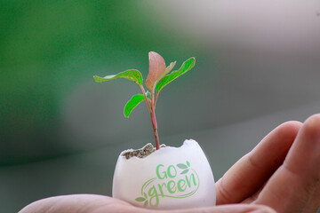 Plant in hand,Go green