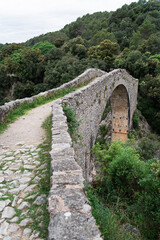 Poster - Beautiful view of an arch of the ancient bridge surrounded by trees on a gloomy day