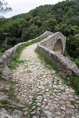 Poster - Beautiful view of an arch of the ancient bridge surrounded by trees on a gloomy day