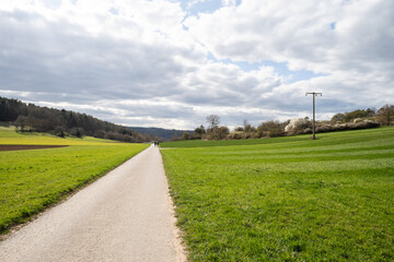 Wall Mural - green agricultural farmland with road