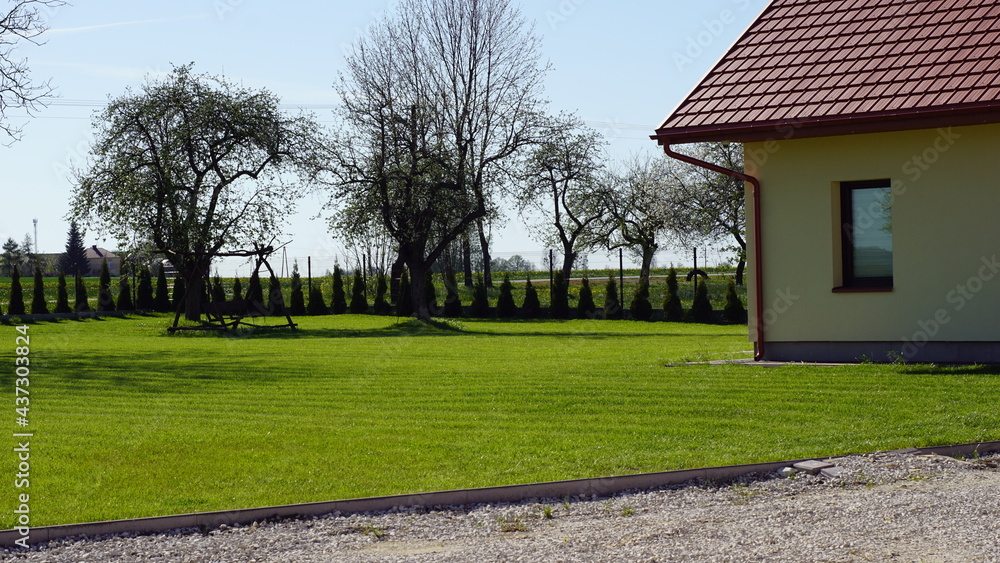 Obraz na płótnie Wiosenny trawnik i krzewy wokoło domu z dala od miasta  w salonie