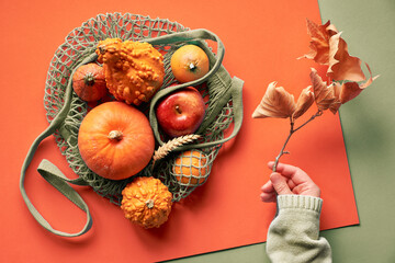 Zero waste string bag with orange pumpkins. Autumn flat lay with female hand sweater holding twig with dry leaves. Top view on layered two tone paper background in orange and green mint colors.